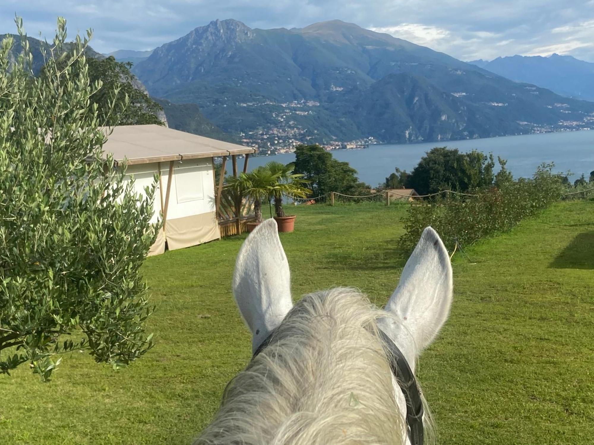 Luxury Lodge Bellagio Eksteriør bilde